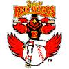 Rochester Red Wings